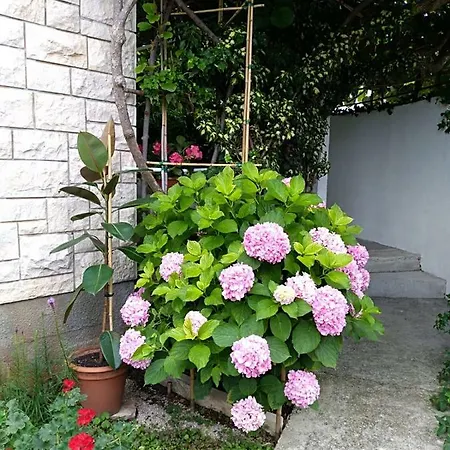 Apartment Mladenka