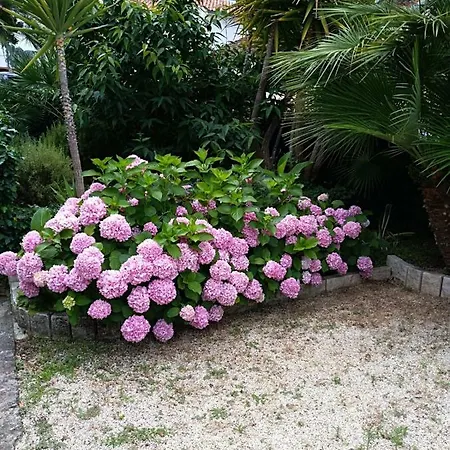 Apartamento Mladenka *