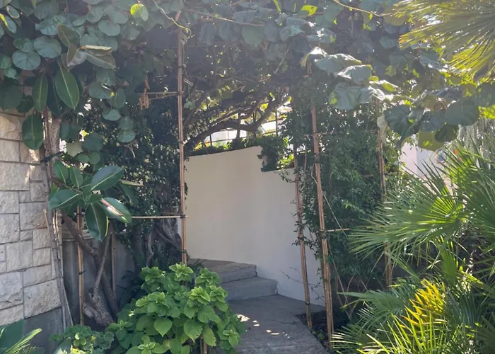 Mladenka * 수페타르