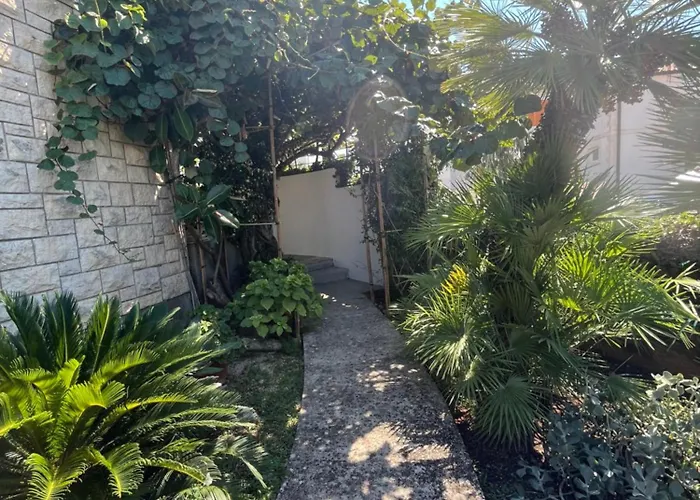 Mladenka * 수페타르